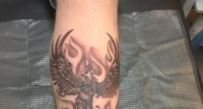 Arti tato burung phoenix atau burung api
