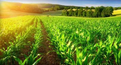 Teknologi untuk produksi dan pengolahan produk pertanian Produksi pertanian