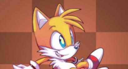 Karakter anak-anak favorit: Sonic dan timnya Semua pahlawan kartun sonic