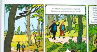 Komik Hergé tentang petualangan komik Tintin Tintin