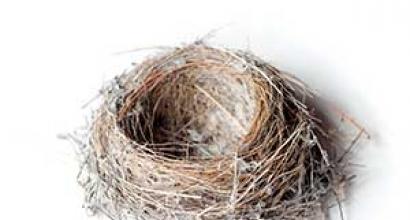 Крылатые архитекторы – гнезда птиц Какие материалы используют птицы для строительства гнезд